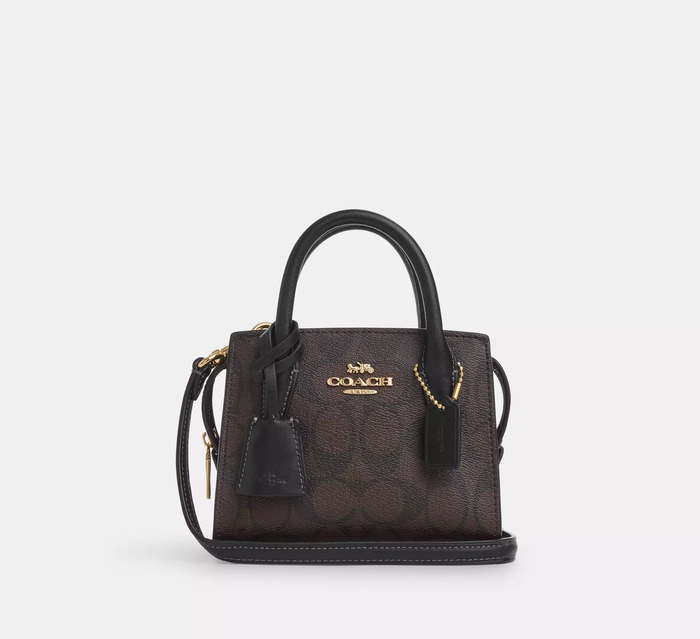Coach Andrea Mini Carryall In Signature Canvas